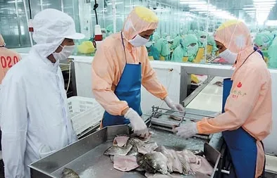食品進口報關有哪些關鍵點和注意事項？